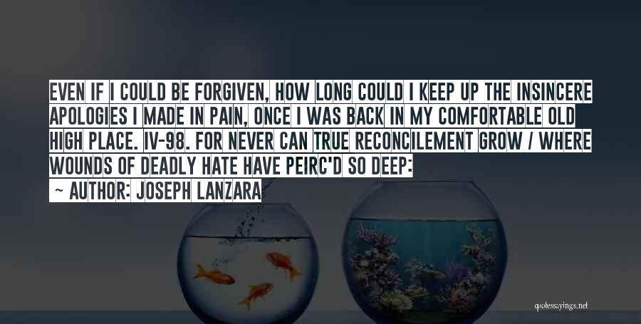 Never Be Comfortable Quotes By Joseph Lanzara