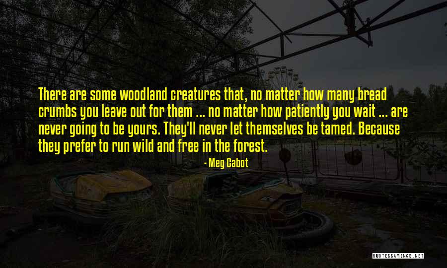 Never Be Tamed Quotes By Meg Cabot Never Be Tamed Quotes By Meg Cabot