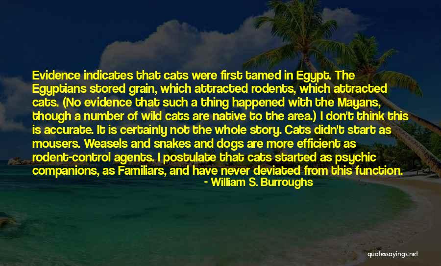Never Be Tamed Quotes By William S. Burroughs Never Be Tamed Quotes By William S. Burroughs