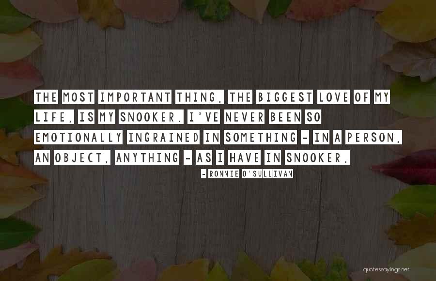 Never Been So In Love Quotes By Ronnie O'Sullivan Never Been So In Love Quotes By Ronnie O'Sullivan