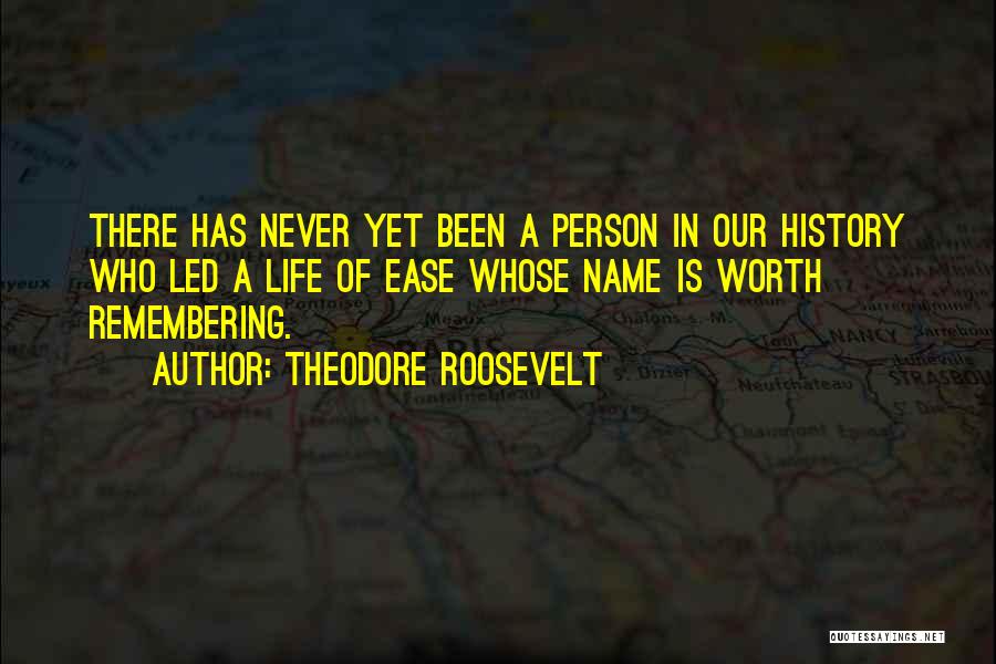 Never Been There Quotes By Theodore Roosevelt