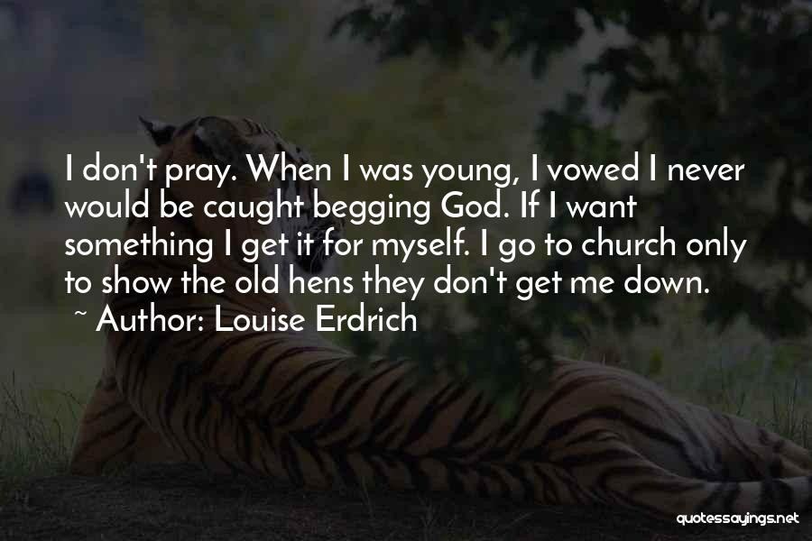 Never Begging Quotes By Louise Erdrich
