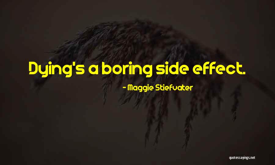 Never Being Jealous Quotes By Maggie Stiefvater Never Being Jealous Quotes By Maggie Stiefvater