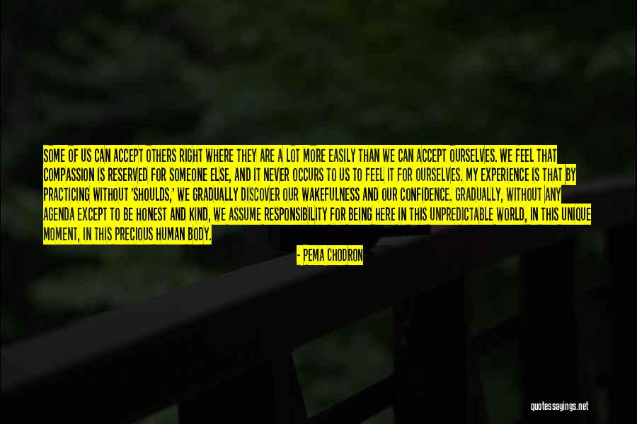 Never Being Right Quotes By Pema Chodron Never Being Right Quotes By Pema Chodron