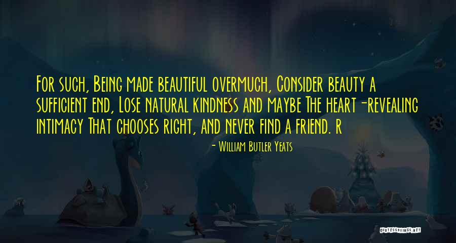 Never Being Right Quotes By William Butler Yeats