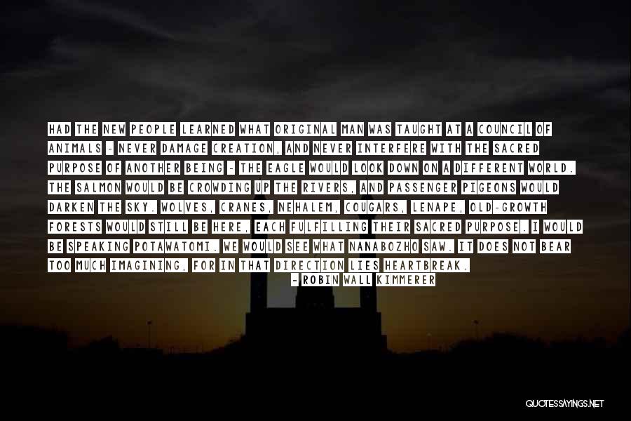Never Being Too Old Quotes By Robin Wall Kimmerer Never Being Too Old Quotes By Robin Wall Kimmerer