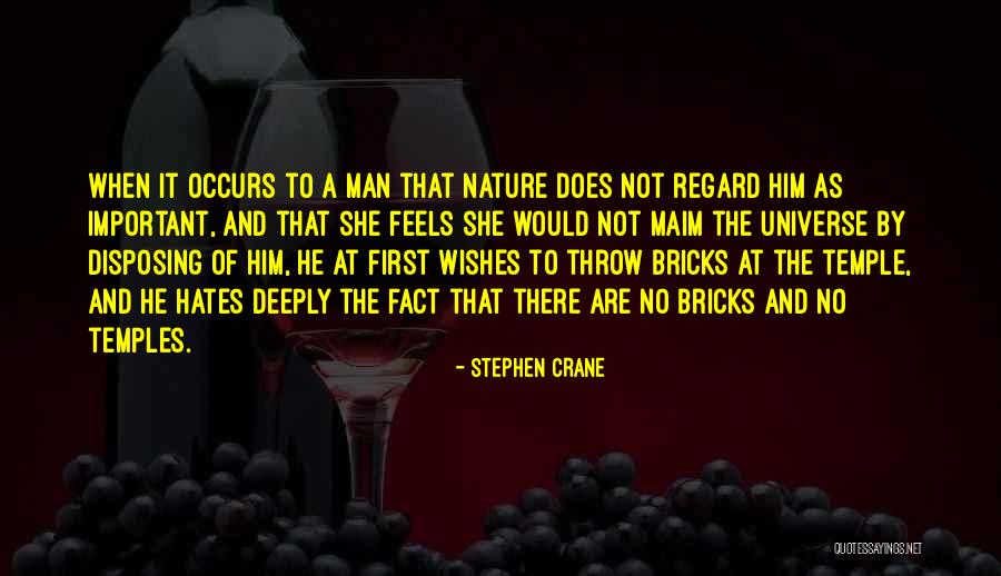 Never Being Wrong Meme Quotes By Stephen Crane Never Being Wrong Meme Quotes By Stephen Crane
