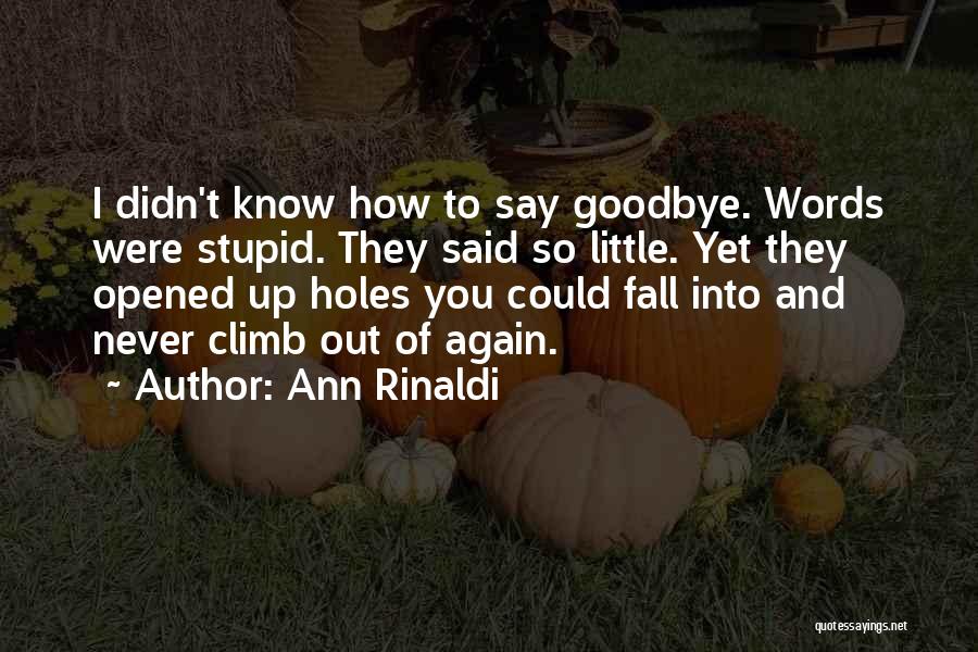 Never Can Say Goodbye Quotes By Ann Rinaldi