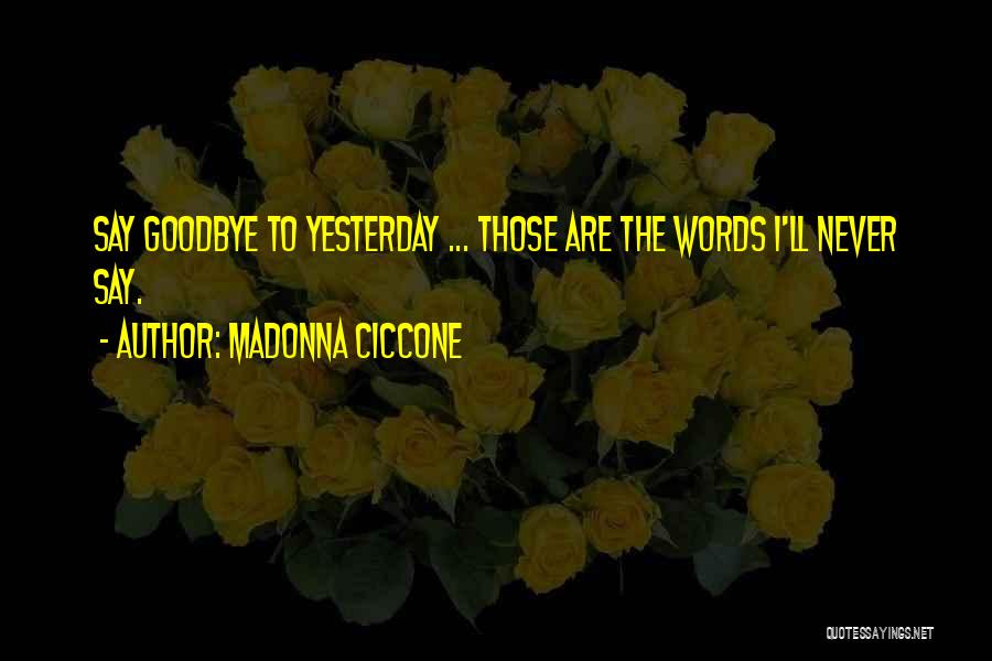 Never Can Say Goodbye Quotes By Madonna Ciccone