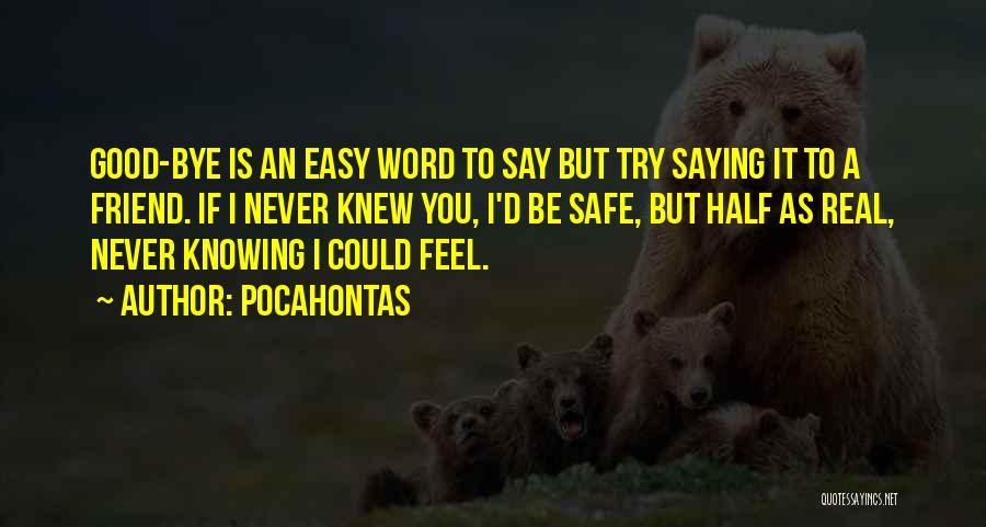 Never Can Say Goodbye Quotes By Pocahontas