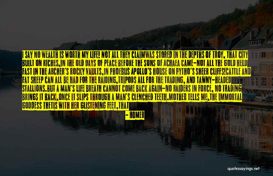 Never Come Back In My Life Quotes By Homer Never Come Back In My Life Quotes By Homer
