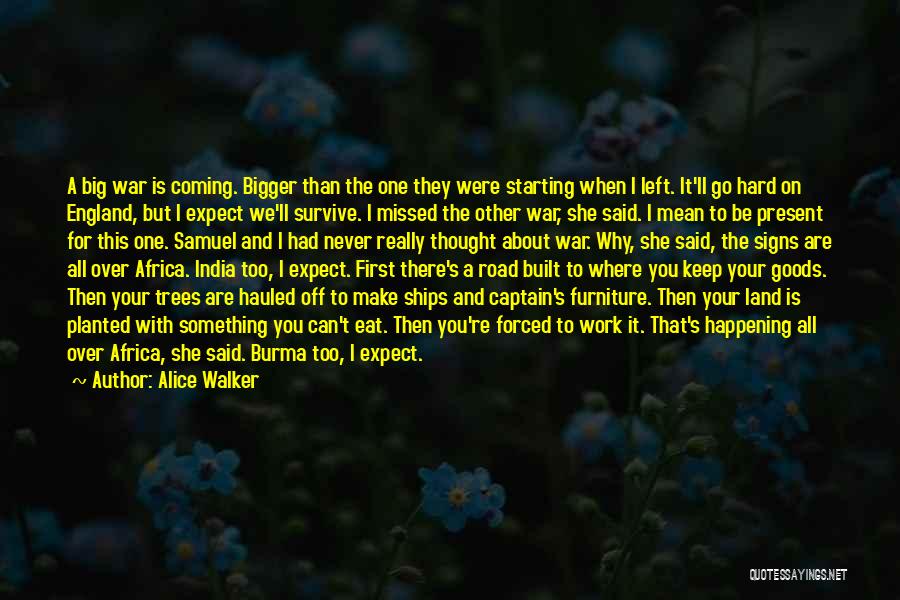 Never Coming First Quotes By Alice Walker
