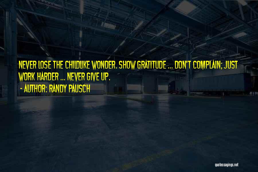 Never Complain Quotes By Randy Pausch