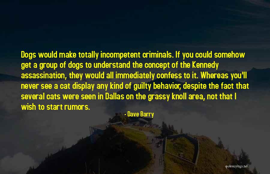 Never Confess Quotes By Dave Barry