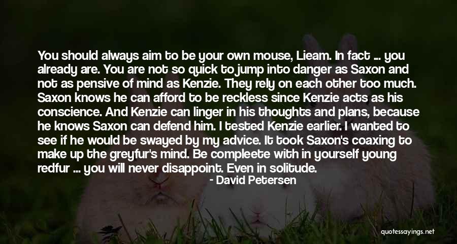 Never Defend Yourself Quotes By David Petersen