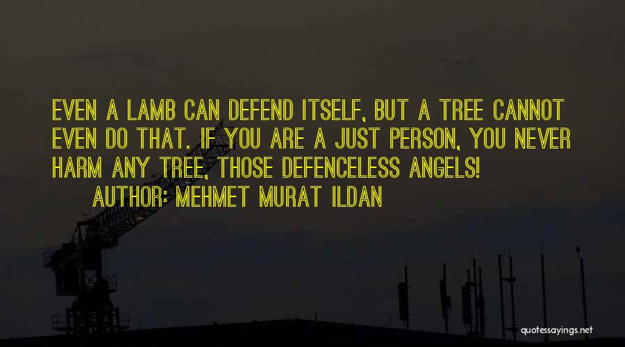 Never Defend Yourself Quotes By Mehmet Murat Ildan