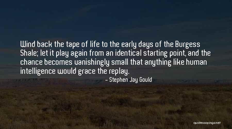 Never Disrespect The Mother Of Your Child Quotes By Stephen Jay Gould Never Disrespect The Mother Of Your Child Quotes By Stephen Jay Gould