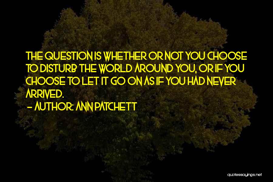 Never Disturb Me Quotes By Ann Patchett