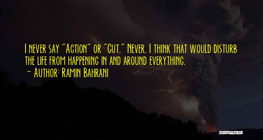 Never Disturb Me Quotes By Ramin Bahrani