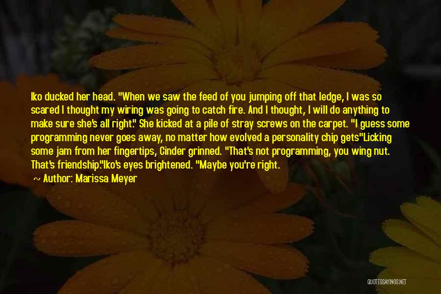 Never Do Anything Right Quotes By Marissa Meyer