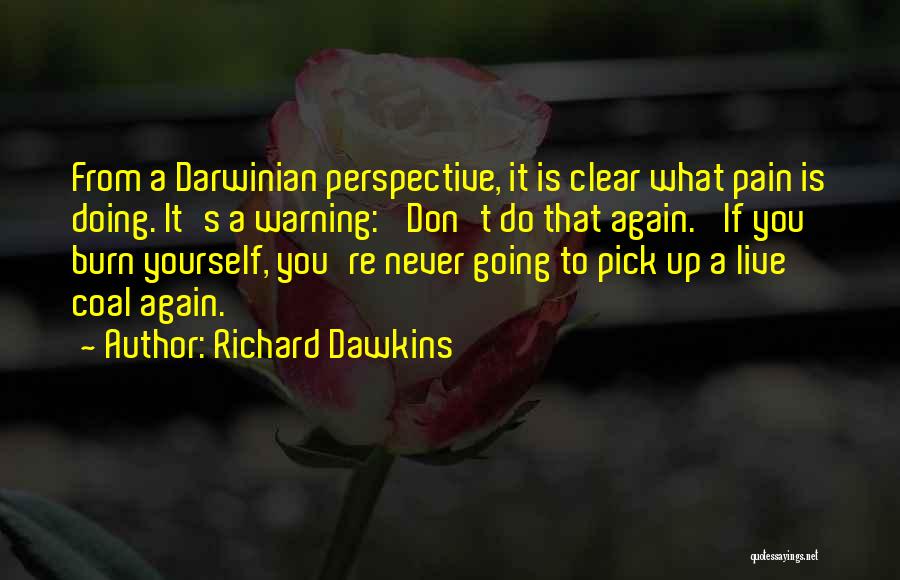 Never Doing It Again Quotes By Richard Dawkins