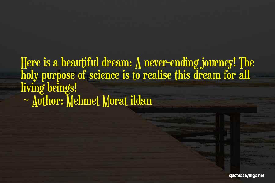 Never Ending Journey Quotes By Mehmet Murat Ildan