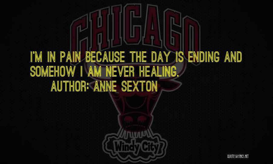 Never Ending Pain Quotes By Anne Sexton