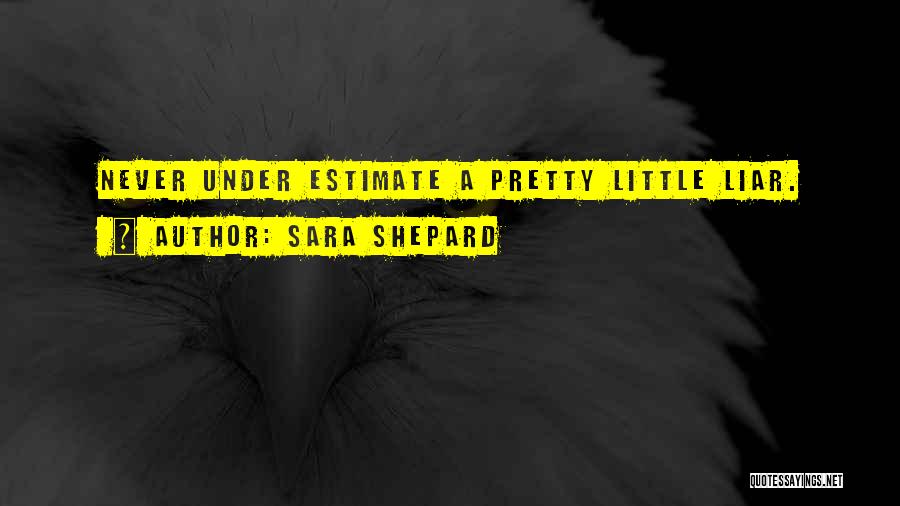 Never Estimate Quotes By Sara Shepard