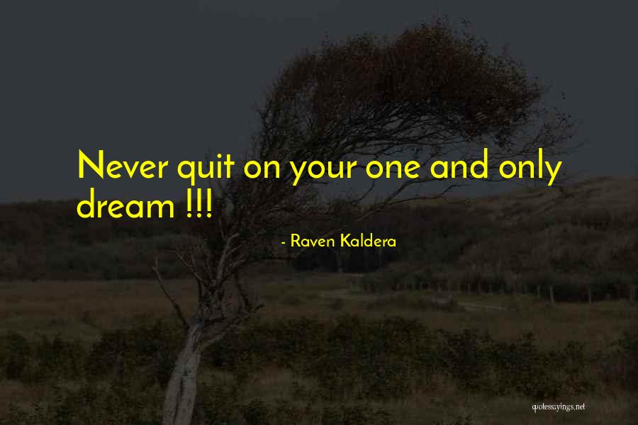 Never Ever Quit Quotes By Raven Kaldera