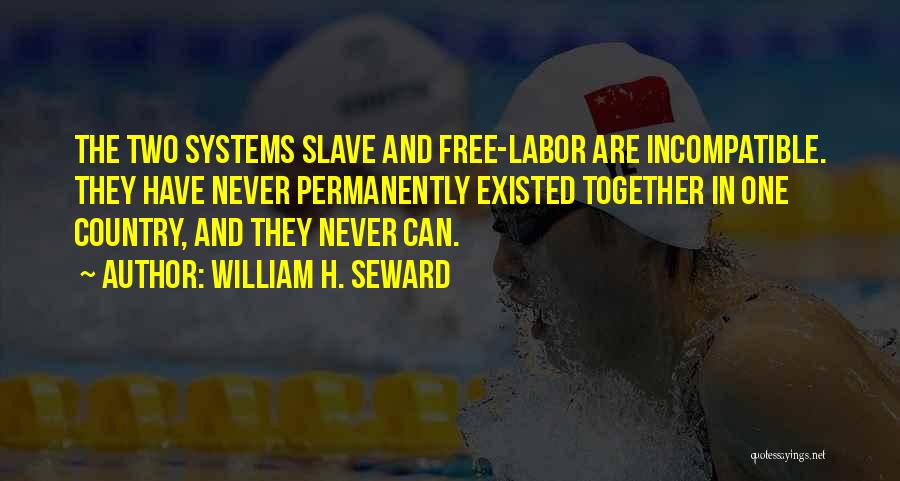 Never Existed Quotes By William H. Seward