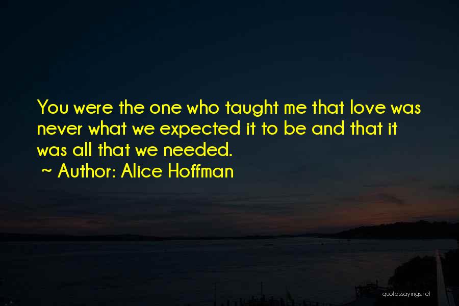 Never Expected To Love You Quotes By Alice Hoffman