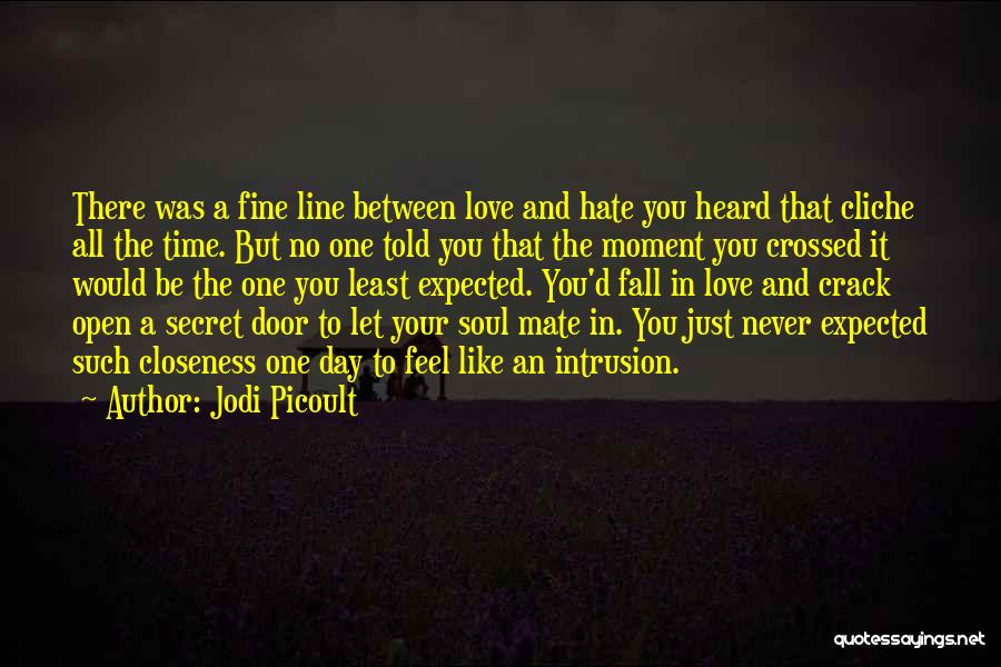 Never Expected To Love You Quotes By Jodi Picoult