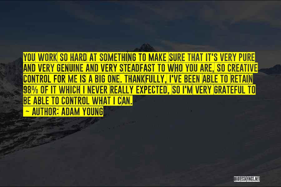 Never Expected You Quotes By Adam Young