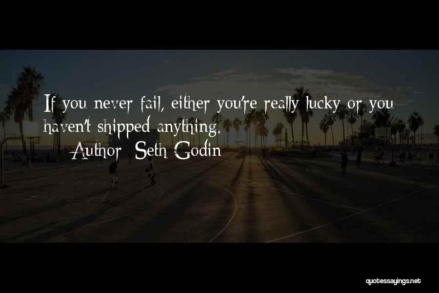 Never Fail Quotes By Seth Godin
