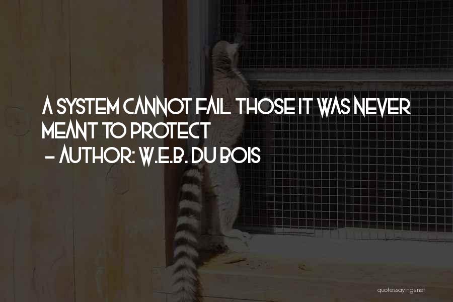 Never Fail Quotes By W.E.B. Du Bois