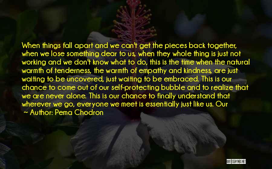 Never Fall Apart Quotes By Pema Chodron