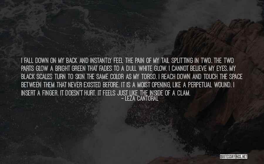 Never Fall Down Quotes By Leza Cantoral Never Fall Down Quotes By Leza Cantoral