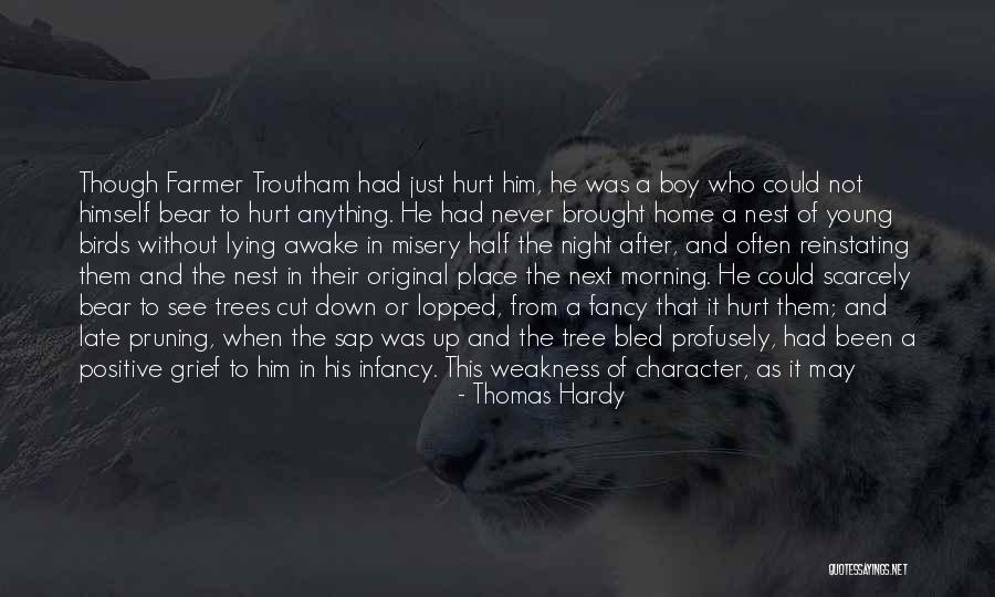 Never Fall Down Quotes By Thomas Hardy Never Fall Down Quotes By Thomas Hardy