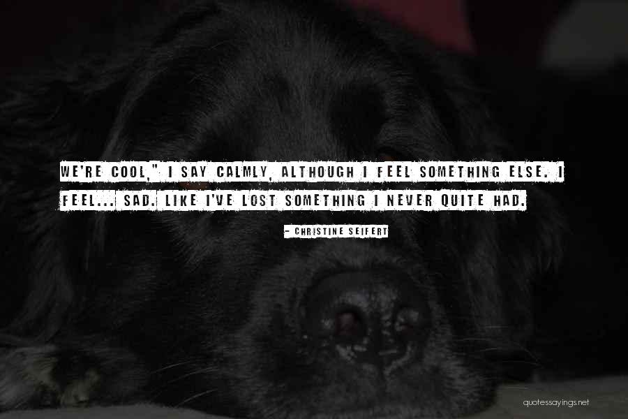 Never Feel Sad Quotes By Christine Seifert Never Feel Sad Quotes By Christine Seifert
