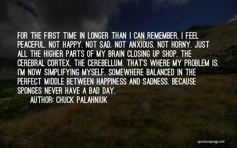 Never Feel Sad Quotes By Chuck Palahniuk
