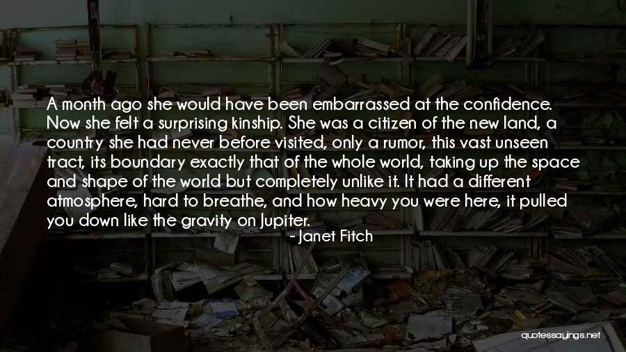 Never Felt Like This Before Quotes By Janet Fitch