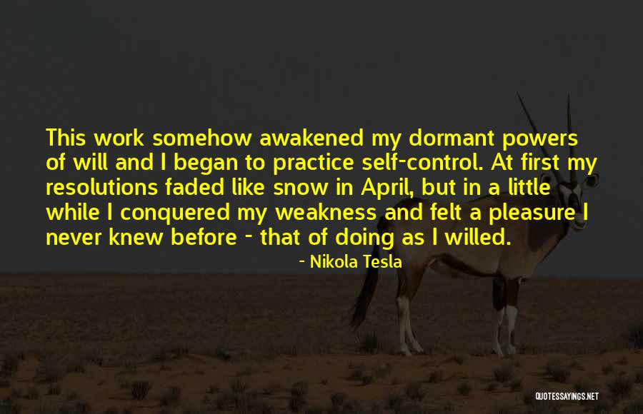 Never Felt Like This Before Quotes By Nikola Tesla