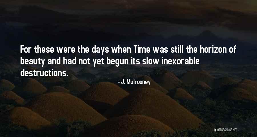 Never Felt Pain Like This Before Quotes By J. Mulrooney Never Felt Pain Like This Before Quotes By J. Mulrooney