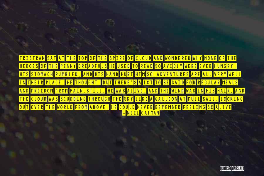 Never Felt Pain Like This Before Quotes By Neil Gaiman Never Felt Pain Like This Before Quotes By Neil Gaiman