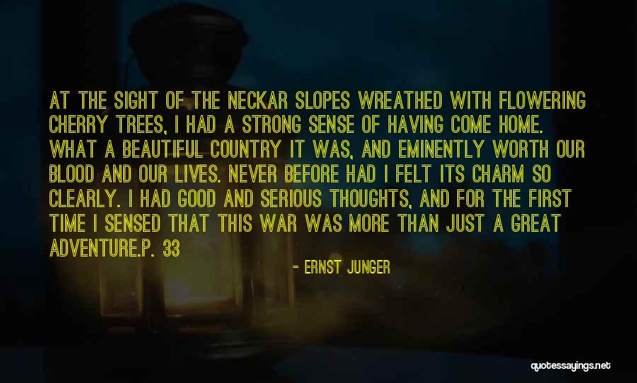 Never Felt So Good Quotes By Ernst Junger Never Felt So Good Quotes By Ernst Junger
