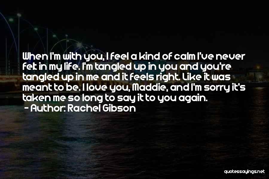 Never Felt So Right Quotes By Rachel Gibson