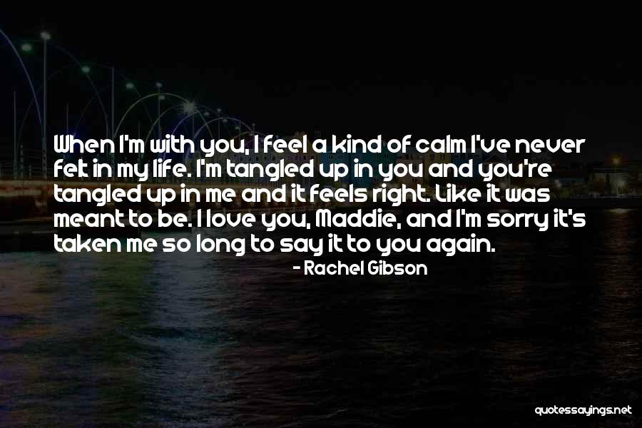 Never Felt So Right Quotes By Rachel Gibson