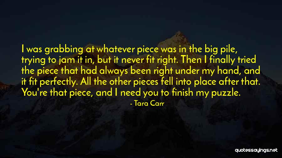 Never Finish Quotes By Tara Carr Never Finish Quotes By Tara Carr