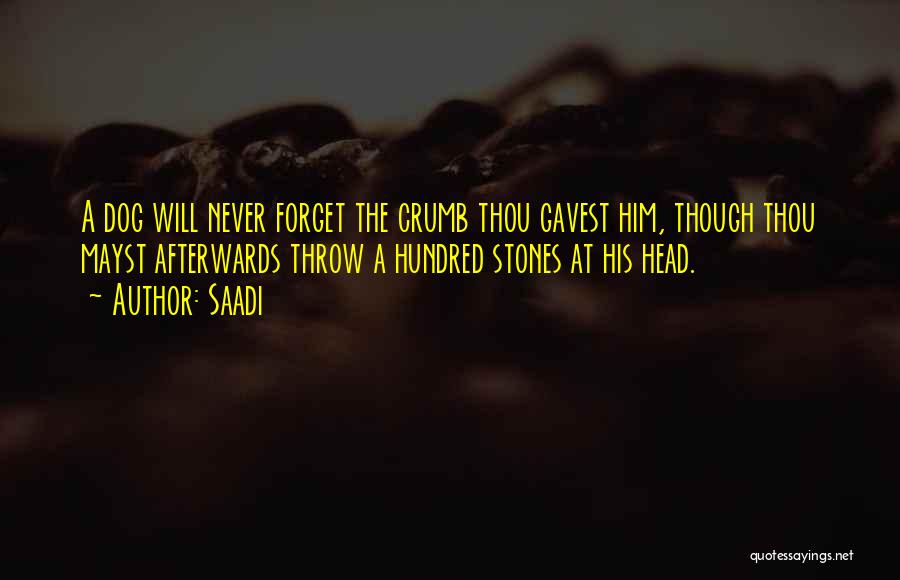 Never Forget Him Quotes By Saadi