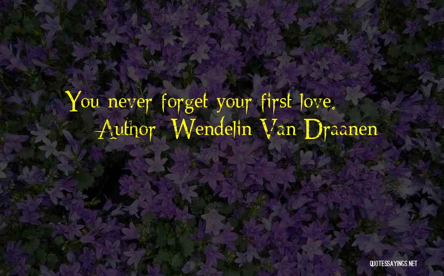Never Forget My First Love Quotes By Wendelin Van Draanen